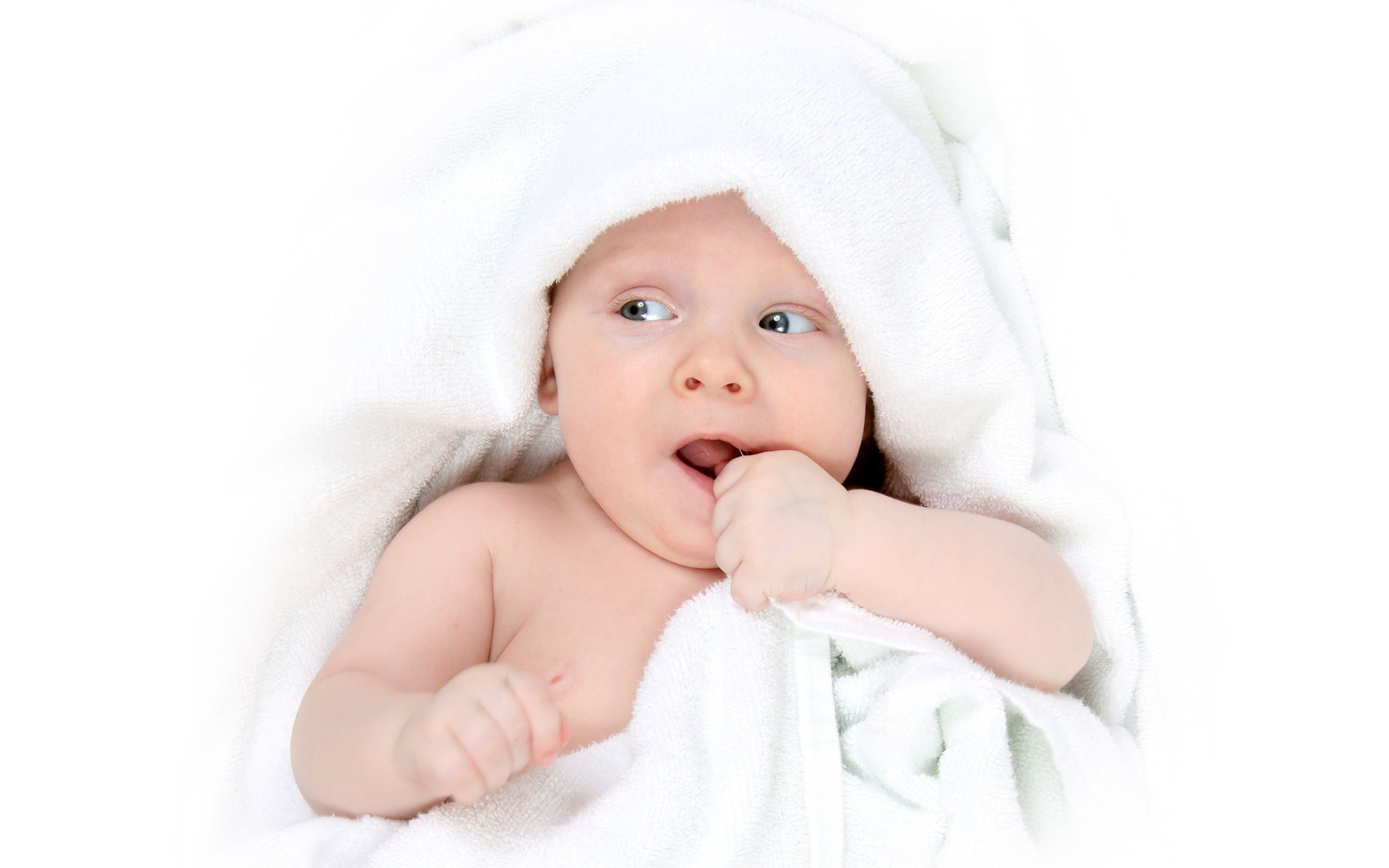 助孕公司机构试管婴儿囊胚移植成功率